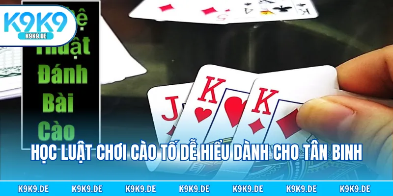 Học luật chơi cào tố dễ hiểu dành cho tân binh