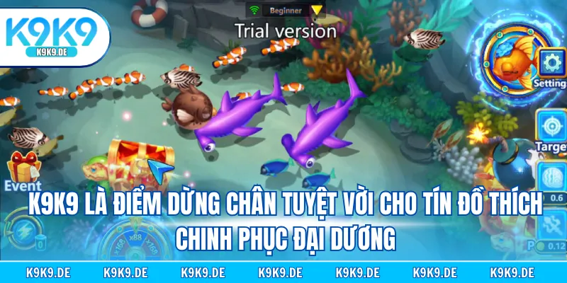 K9K9 là điểm dừng chân tuyệt vời cho tín đồ thích chinh phục đại dương